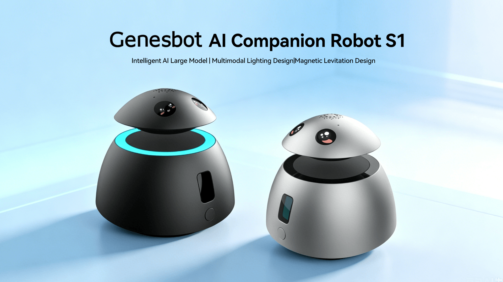 AI Companion Robot